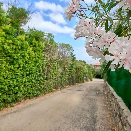 Дом отдыха Cruzitta Стинтино