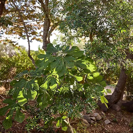 Cruzitta Дом отдыха *