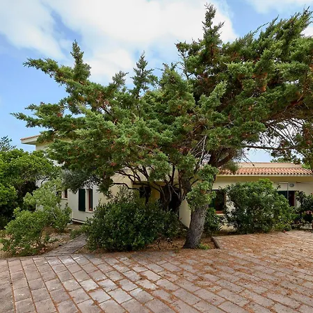 Dom wakacyjny Cruzitta *